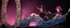 Cie Théâtre du Prisme - Le songe d'une nuit d'été
