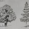 Stage de dessin du paysage